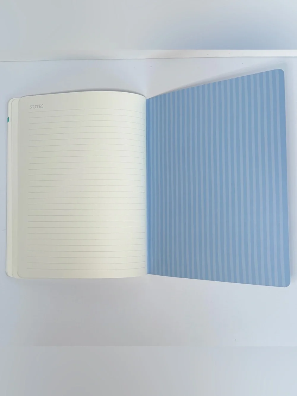 2026-2027 Clementine Paper inc. 17-month Large Size Planner (Blue Stripes)